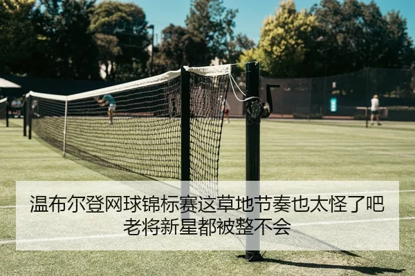 温布尔登网球锦标赛这草地节奏也太怪了吧老将新星都被整不会 | kaiyun