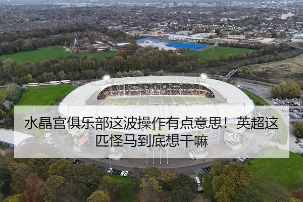 水晶宫俱乐部这波操作有点意思！英超这匹怪马到底想干嘛