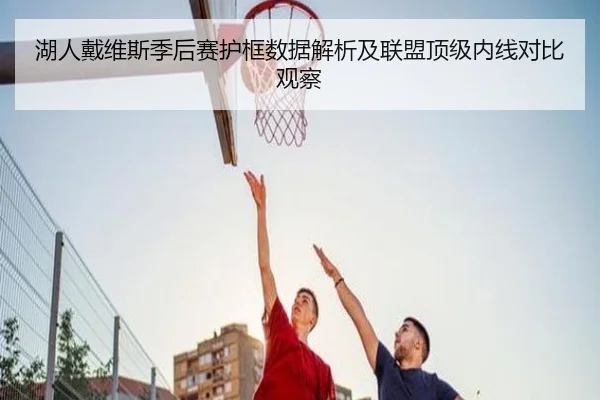 湖人戴维斯季后赛护框数据解析及联盟顶级内线对比观察 | kaiyun